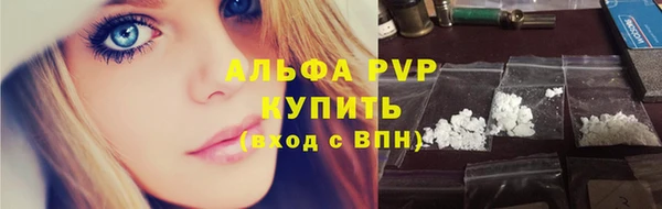 гашик Арсеньев