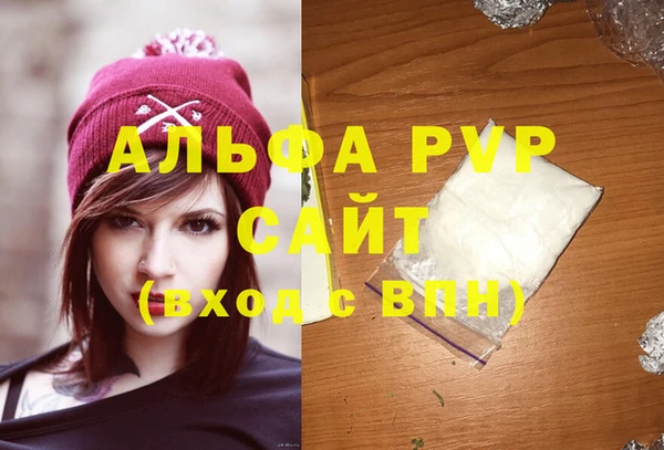 гашик Арсеньев
