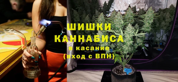 гашик Арсеньев