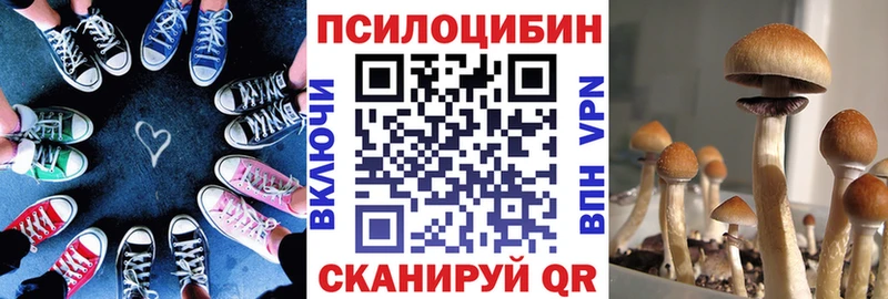 Галлюциногенные грибы Psilocybe магазин наркотиков Белозерск